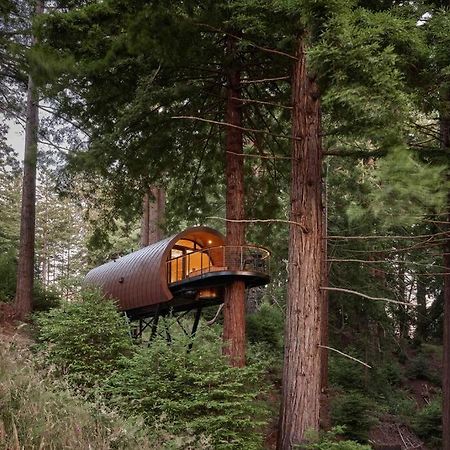 ~* The Spectacular Spyglass Treehouse *~ Occidental Екстер'єр фото