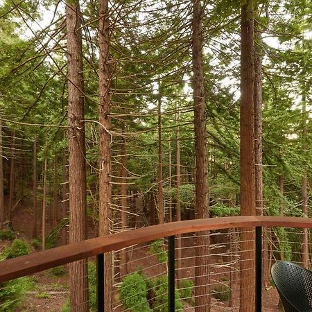 ~* The Spectacular Spyglass Treehouse *~ Occidental Екстер'єр фото